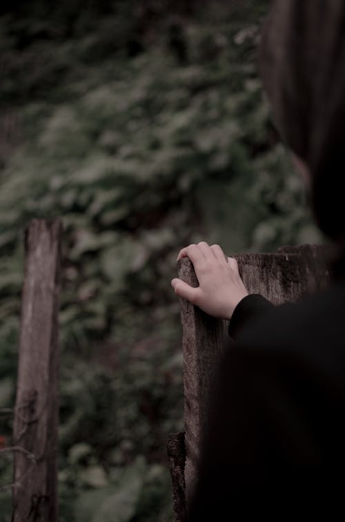 Person Holding Brown Wooden Fence 