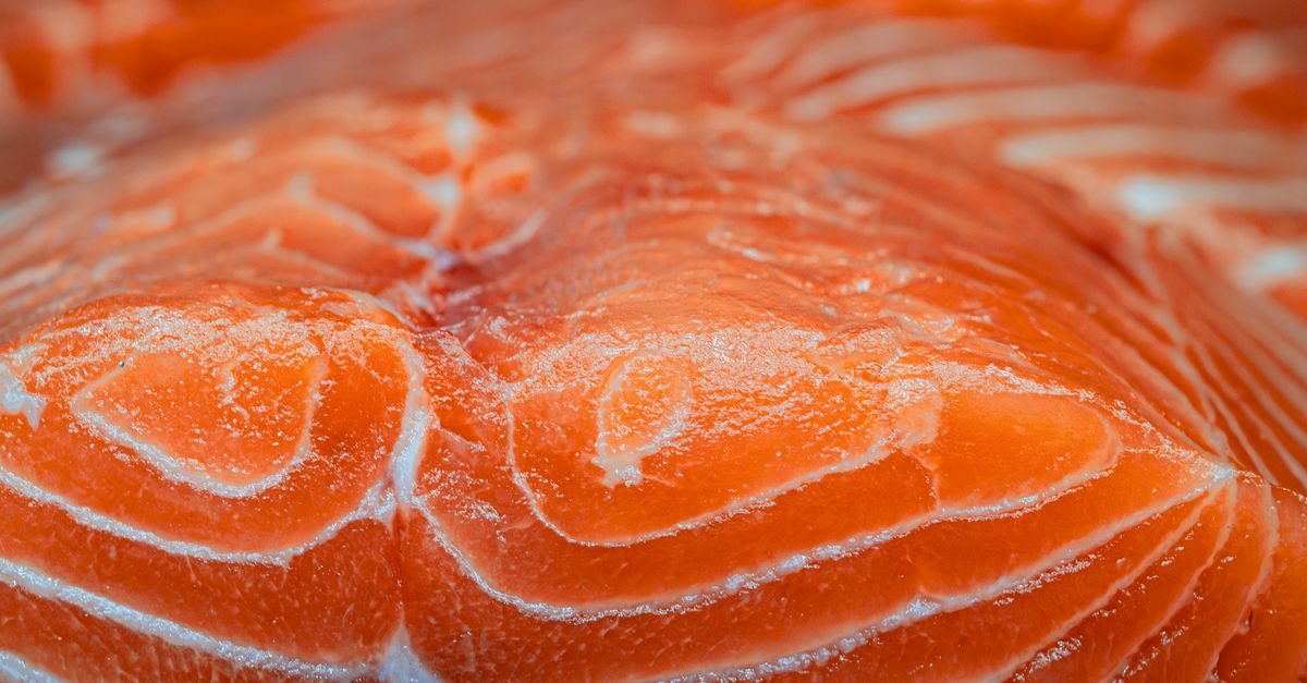 Omega 3 y su contribución a la salud del corazón y el cerebro Omega 3 y su contribución a la salud del corazón y el cerebro