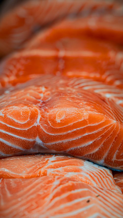 Free Close-up of fresh salmon fillets displayed at a market in Toronto. Stock Photo