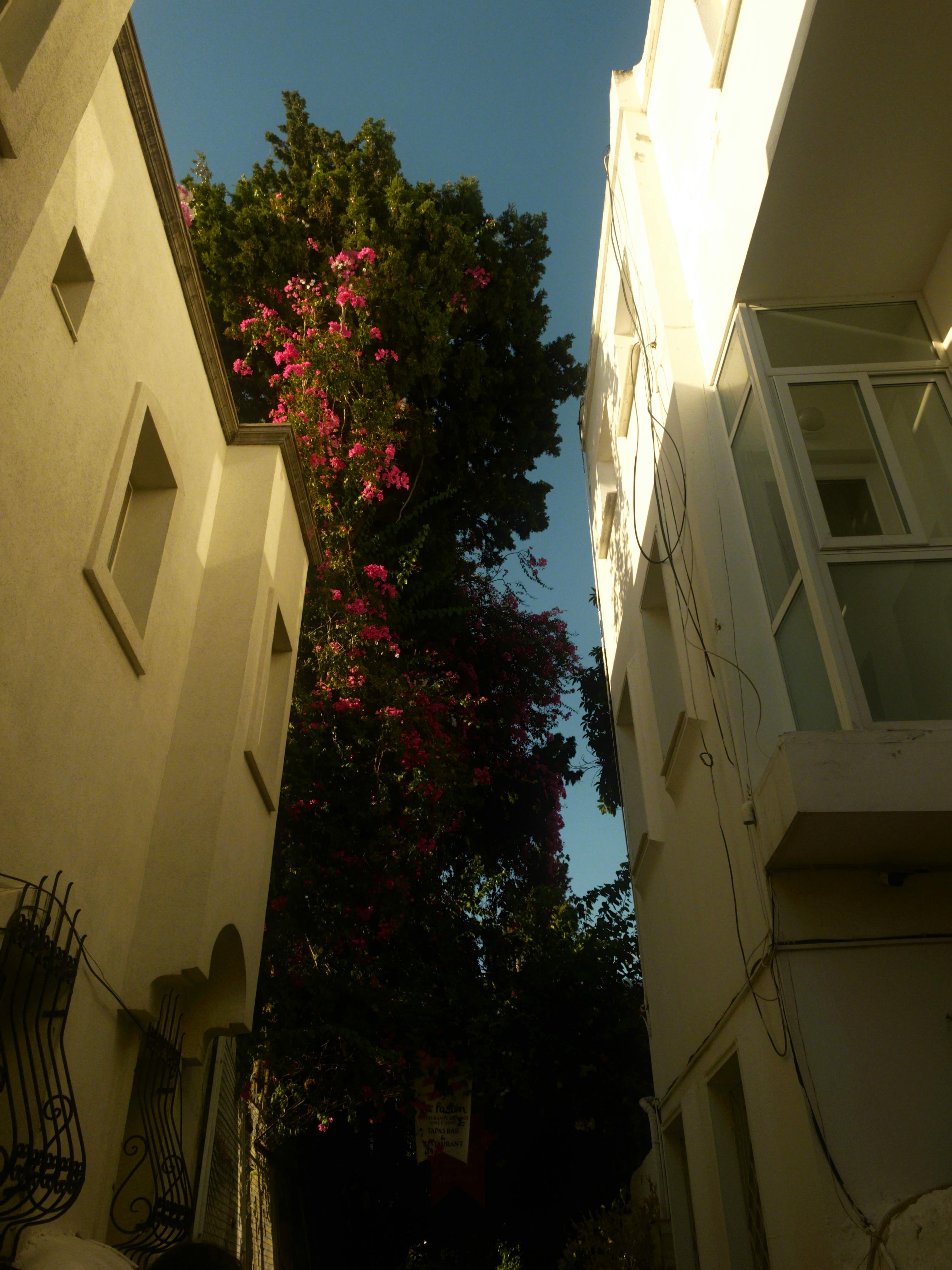 Luksusowy hotel w Bodrum z widokiem na Morze Egejskie