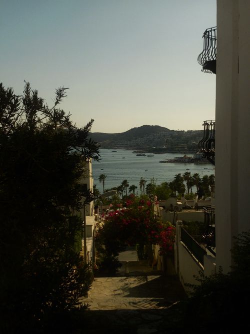 Free Beautiful coastal view in Bodrum, Türkiye, featuring lush flora and distant hills at sunset. Stock Photo