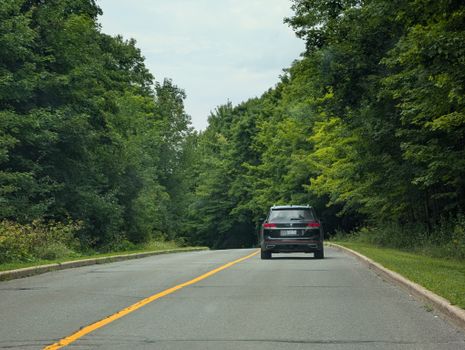 A car travels down a tree-lined road in Gatineau, Canada, surrounded by lush greenery.
