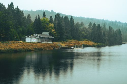 Free Serene autumn lakeside view with mist, trees, and reflection, perfect for travel and nature enthusiasts. Stock Photo