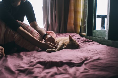 Free A serene moment capturing a woman relaxing with her sleeping cat on a bed in a cozy room. Stock Photo