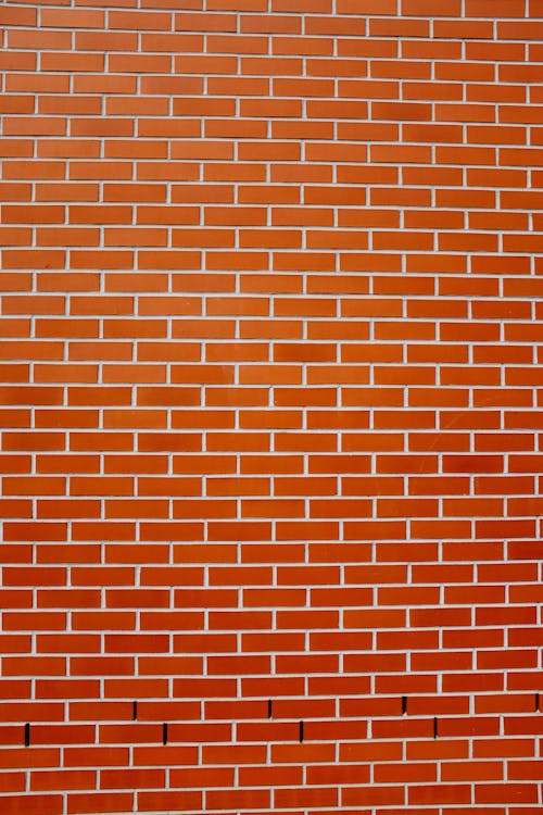 Free Brick Wall Stock Photo