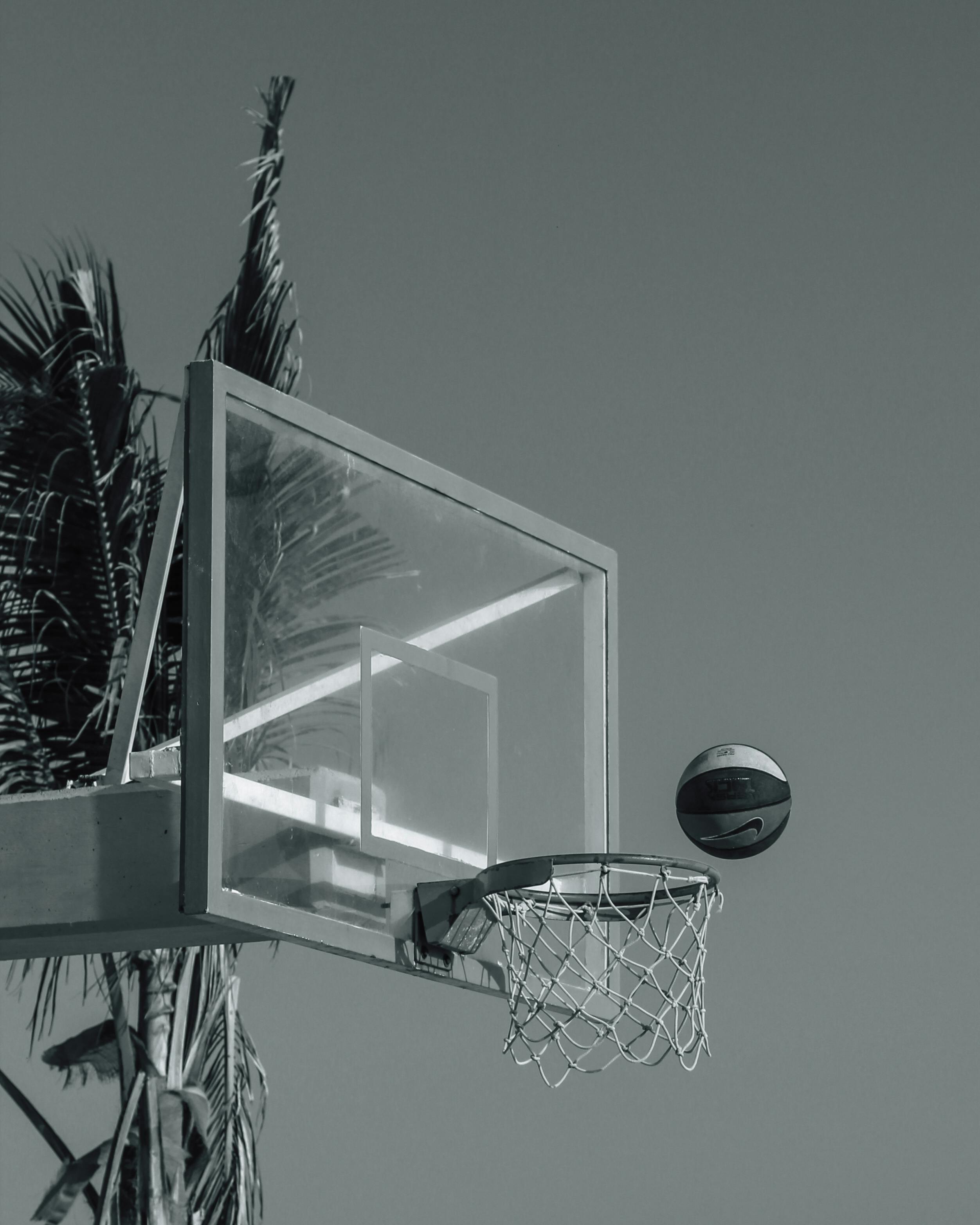 a basketball hoop with palm trees in the background