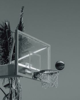A basketball hoop with a ball captured in mid-air, framed by palm trees, emphasizing outdoor recreation.