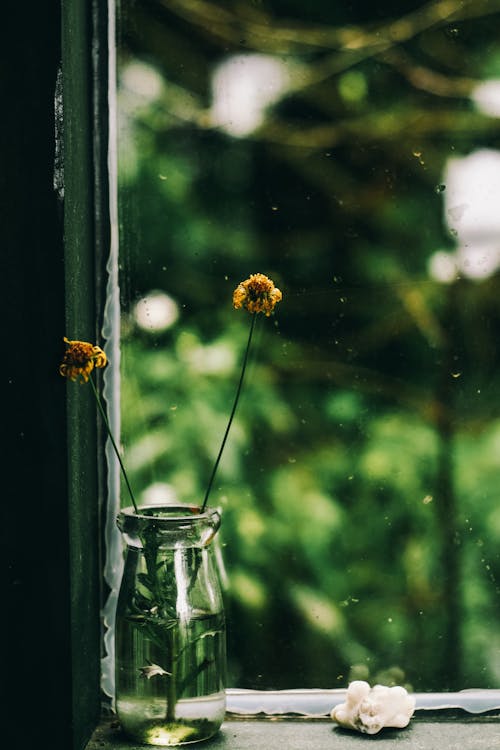 Foto De Flores Amarelas Em Um Vaso De Flores