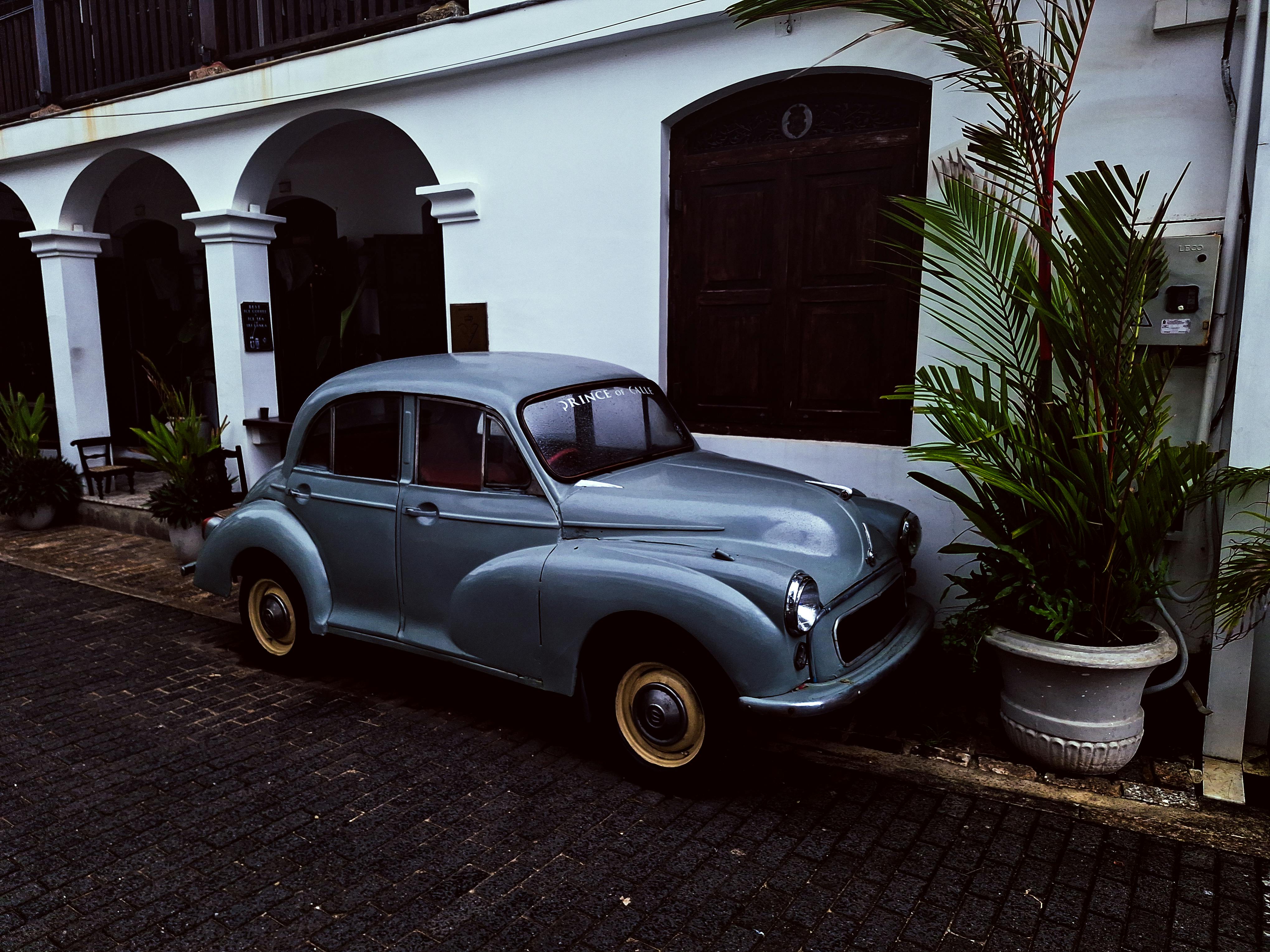 Maren Morris, Ani DiFranco to Headline ZooTunes 2026