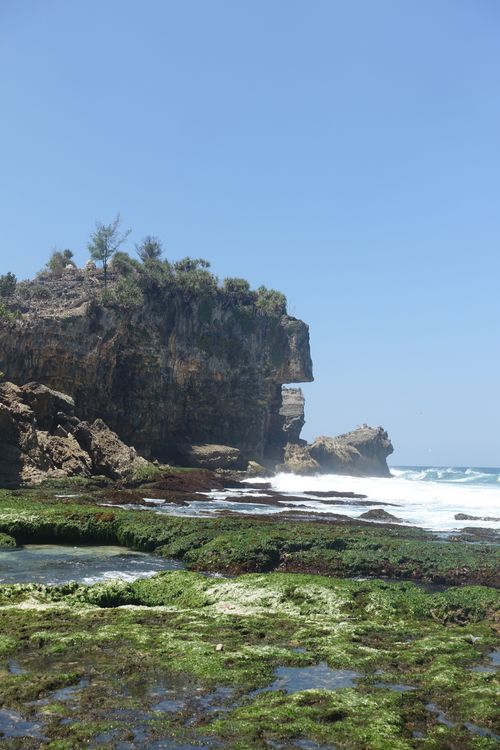 Free Majestic coastal cliff with lush greenery and ocean waves in Yogyakarta, Indonesia. Stock Photo