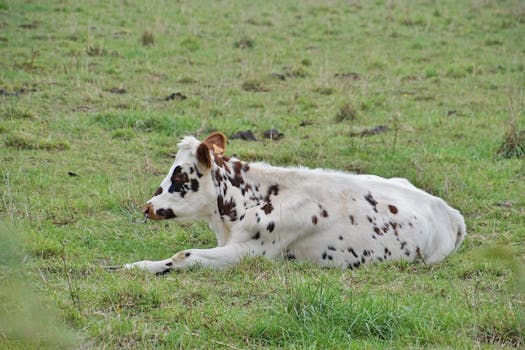 La Chapelle-Longueville