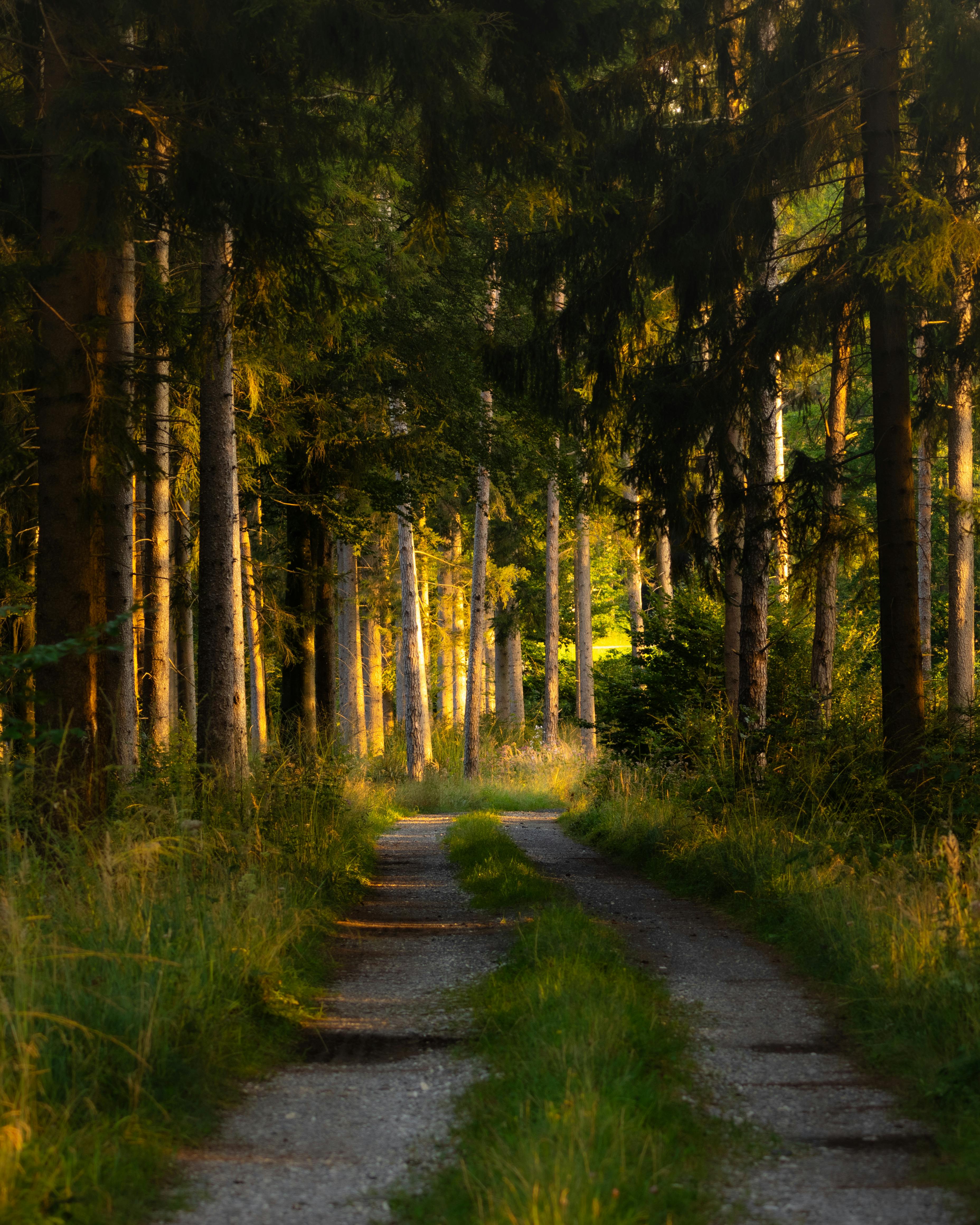 Mastery By The Morning