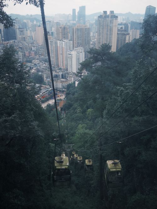 Free Aerial view of cable cars traversing a forest with a modern city skyline in the background. Stock Photo