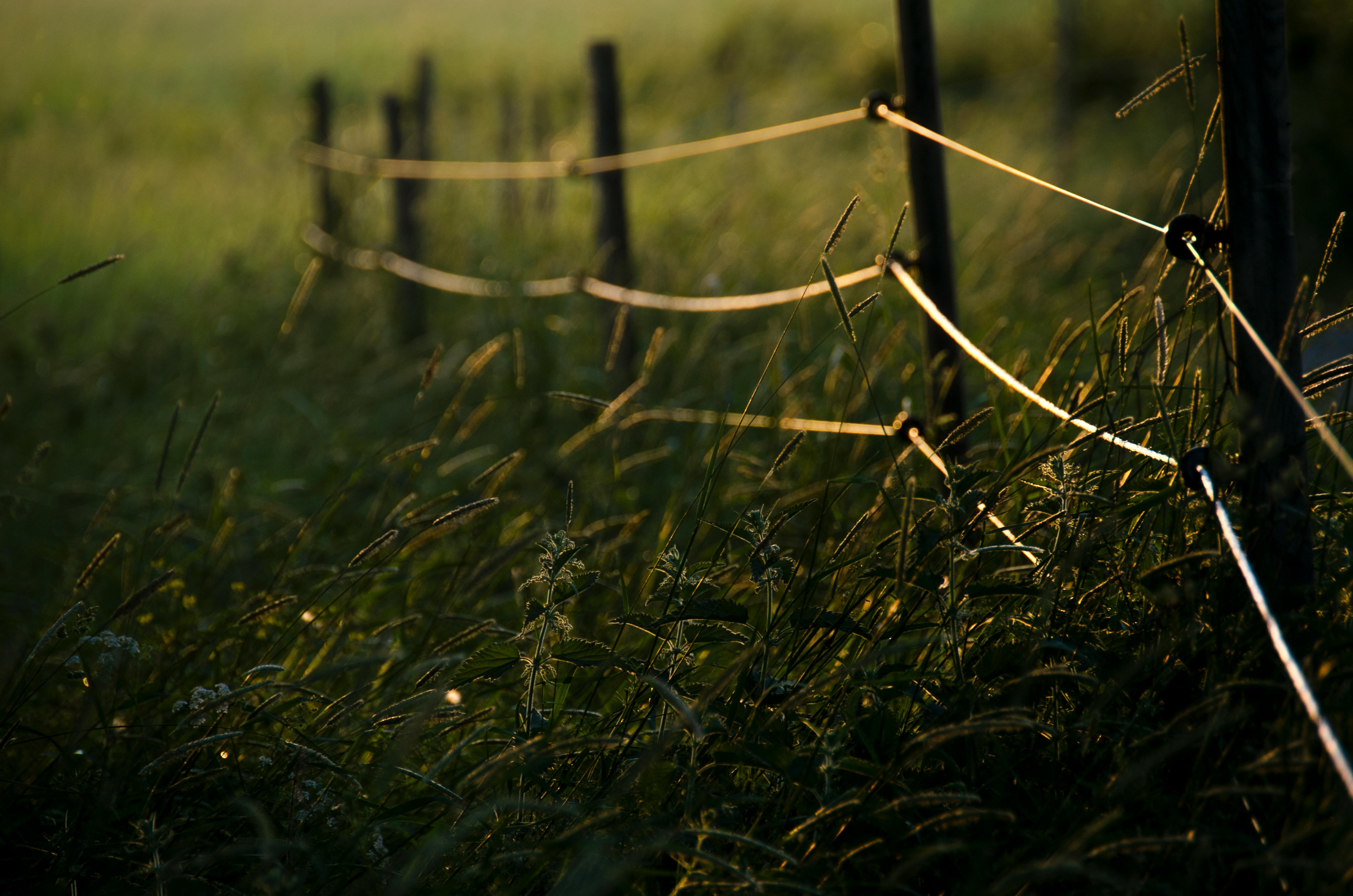 A stylized lottery ticket graphic