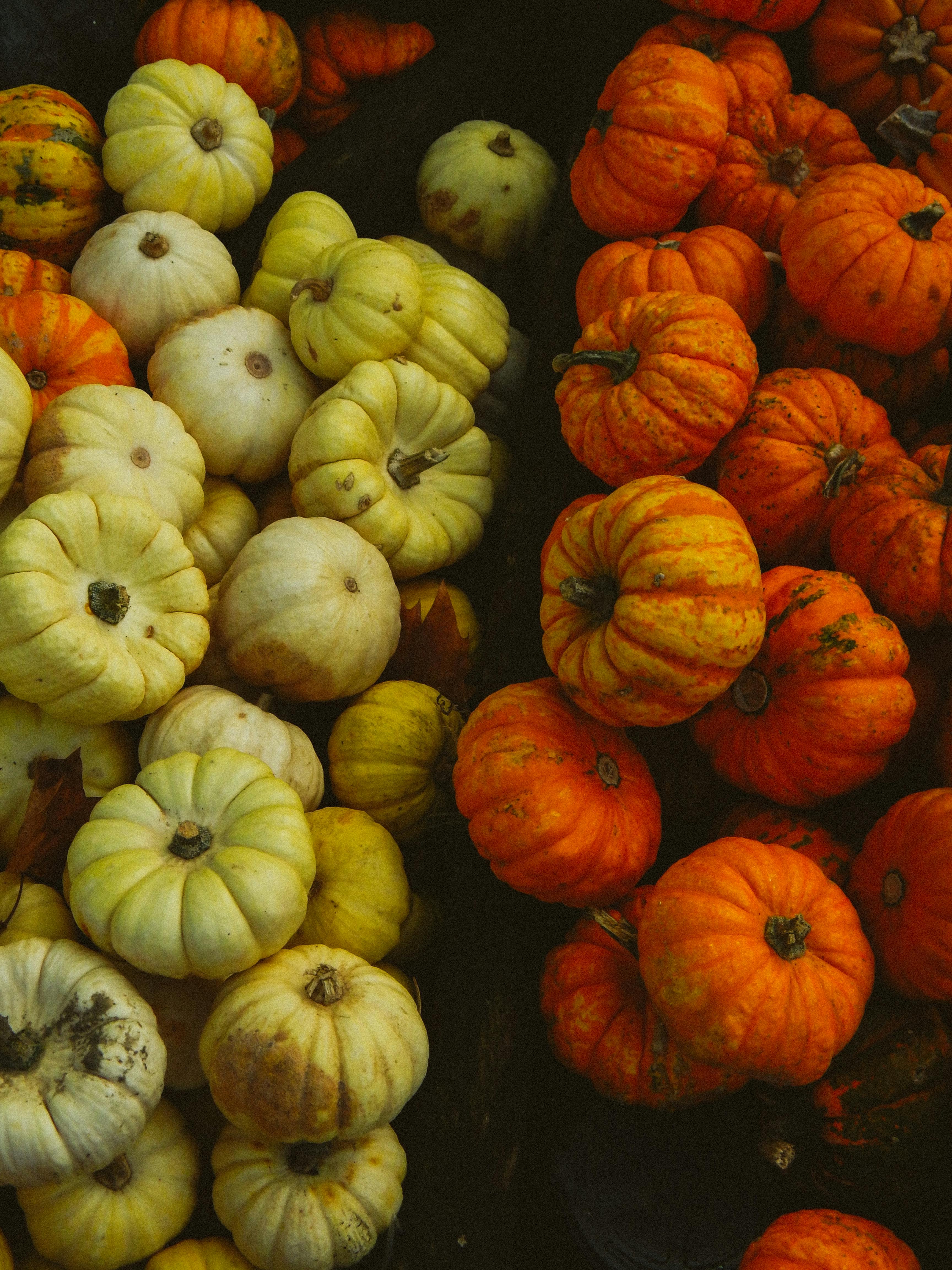 A vibrant display of orange and yellow pumpkins at a market in Düsseldorf, Germany.