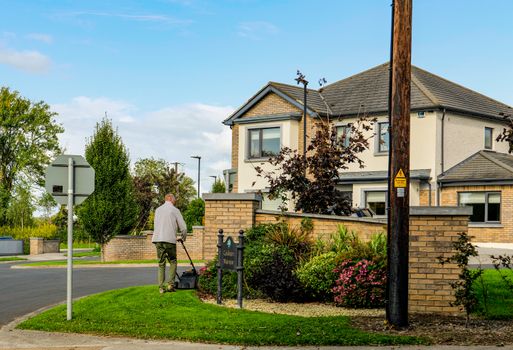 Professional lawn and grounds maintenance