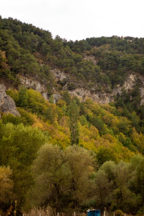 Free Vibrant autumn foliage in the rolling hills of Köseler, Türkiye. Stock Photo