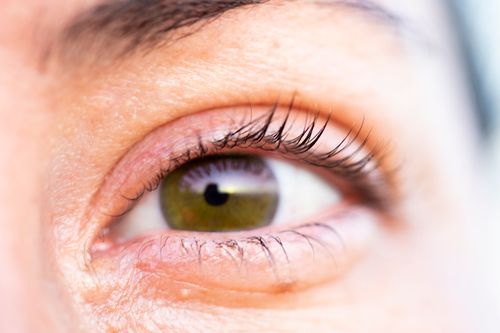 Free stock photo of color, eye, eyelashes Stock Photo