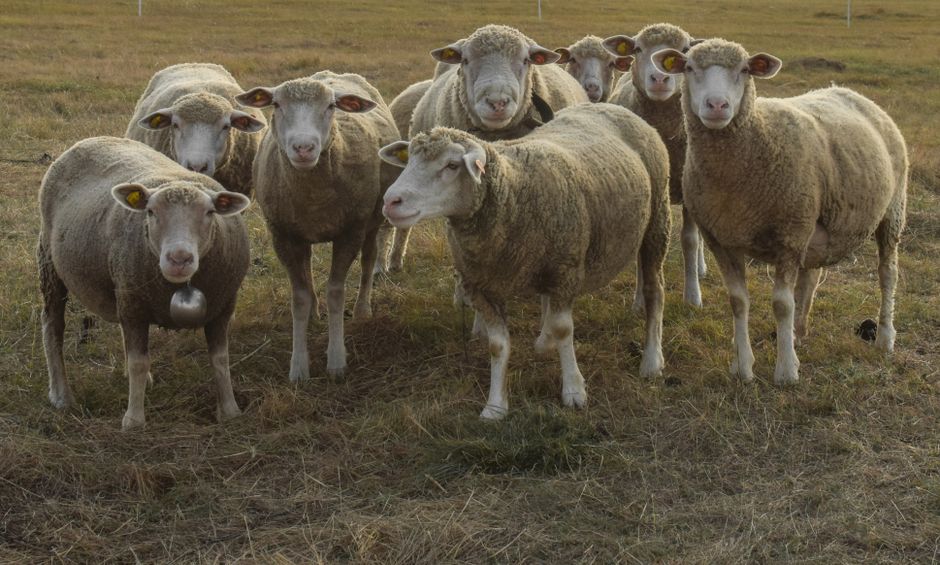 How Flock Safety’s AI cameras outpaced surveillance policy