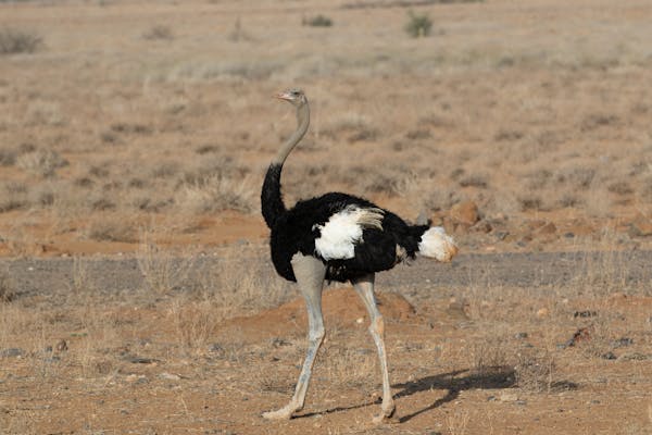 Travel Guide to Kenya's Hidden Gems: Beyond the Big Five