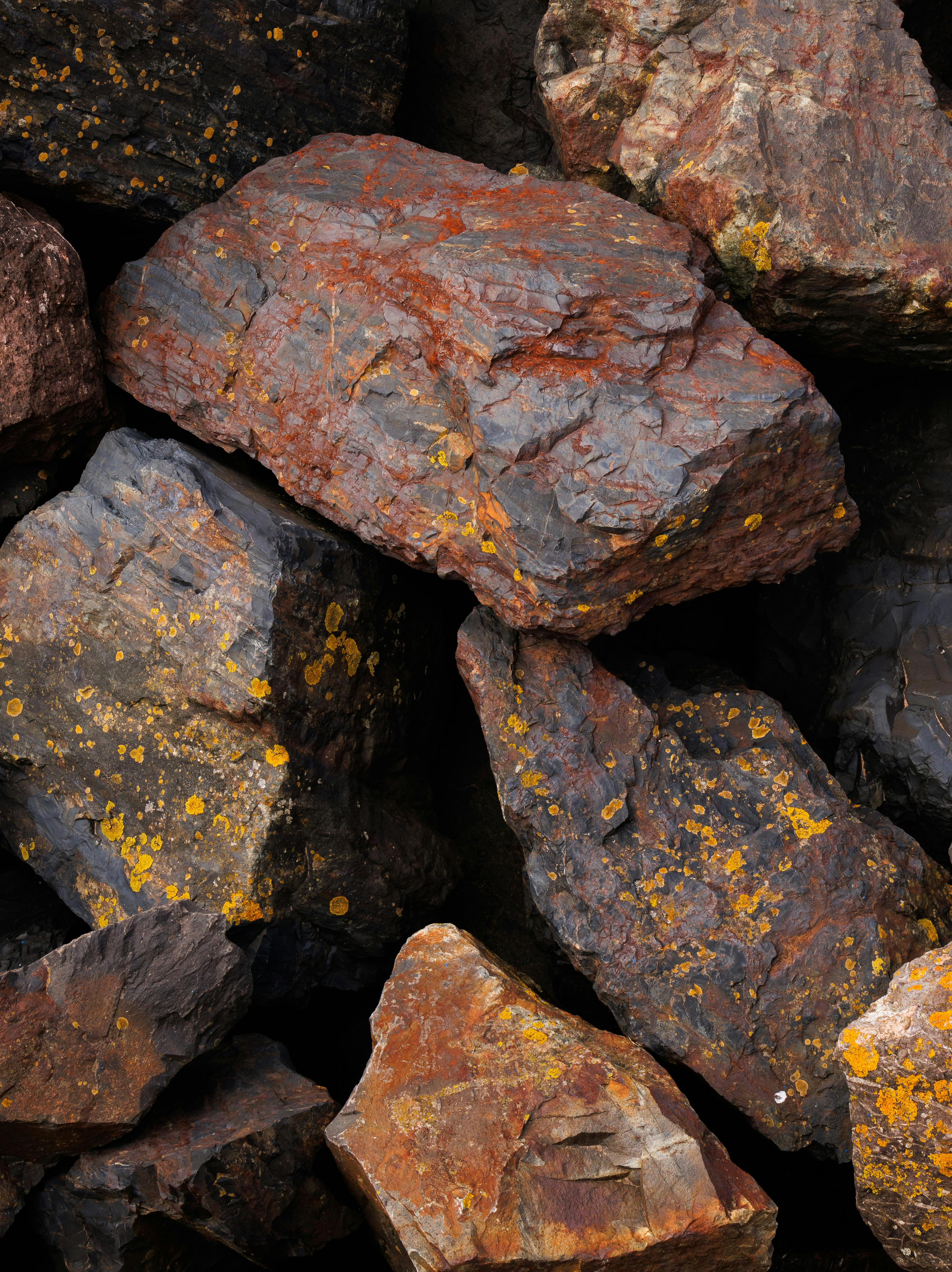 a pile of rocks with brown and yellow spots