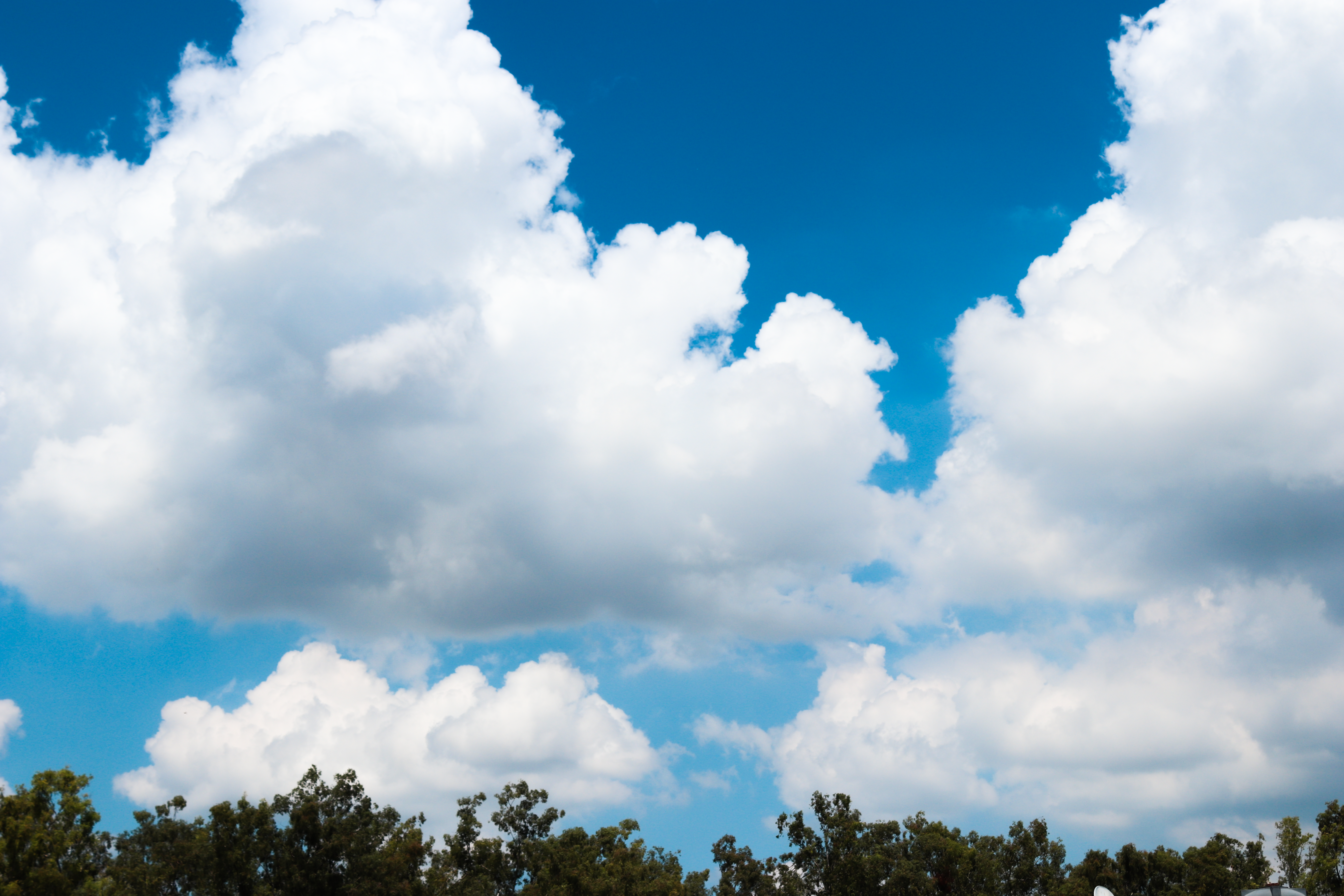 Pokemon Pokopia: Developer Cloud Island Code — Photo by Abhishek Rana on Pexels