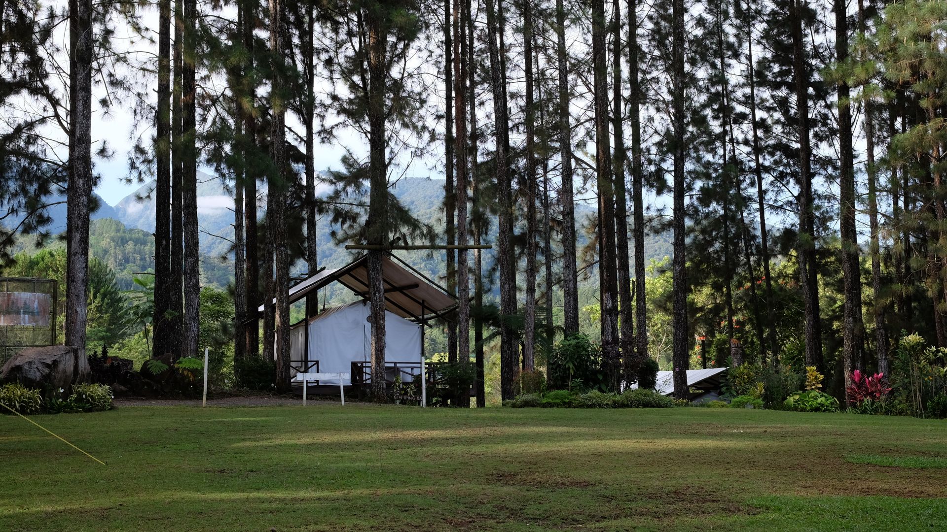 Tenda glamping Korea Selatan di area hutan dengan suasana tenang