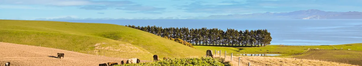 Howdy's Rural Surge: A Signal for Match Group and Bumble?