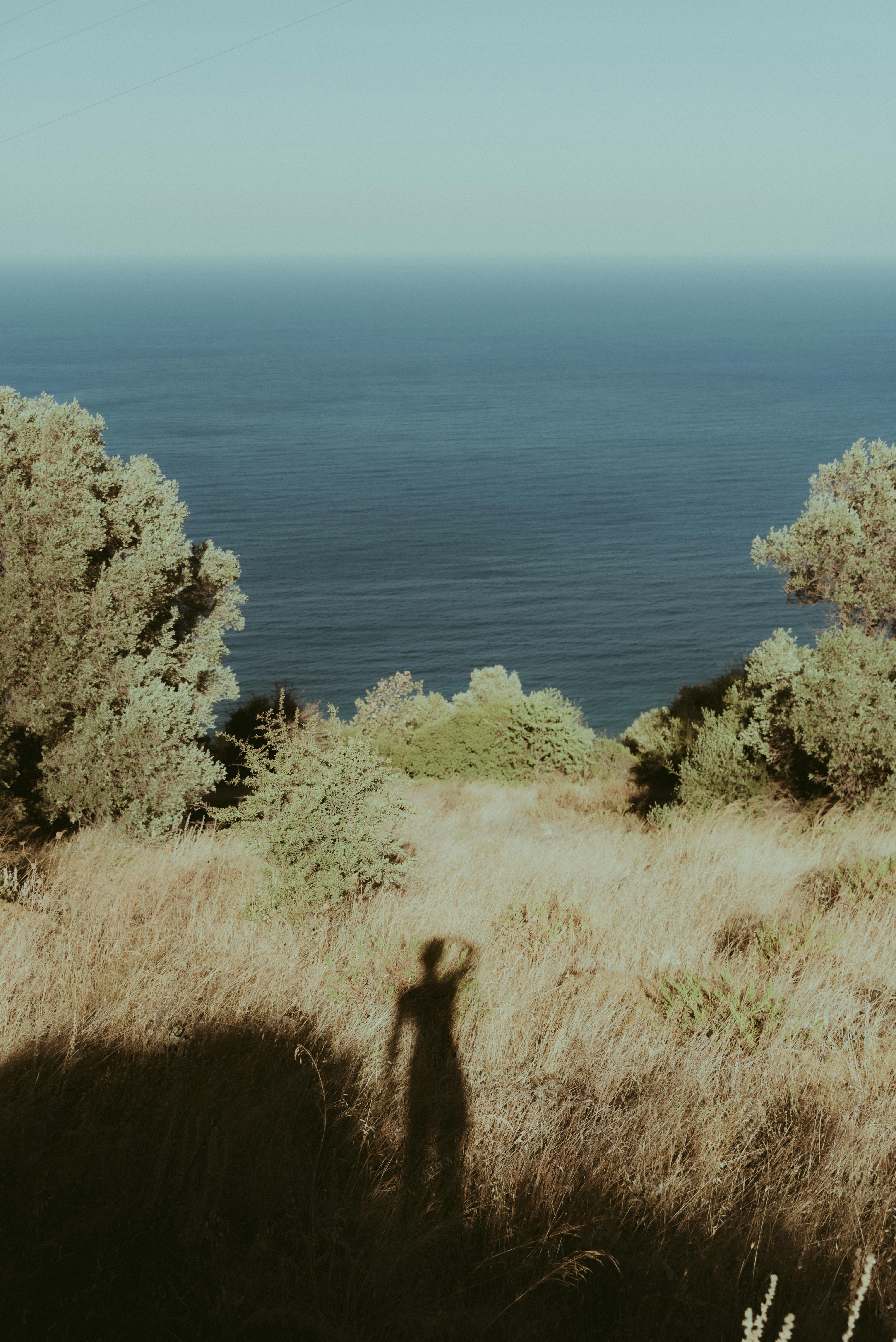 Ocean view with grass and trees, featuring a human shadow at sunset.
