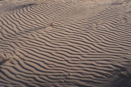 Dune on a Desert 