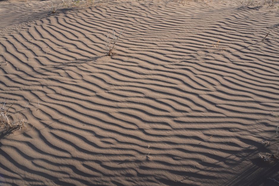 Close-up of textured sand dunes with ripple patterns under sunlight in a desert area.