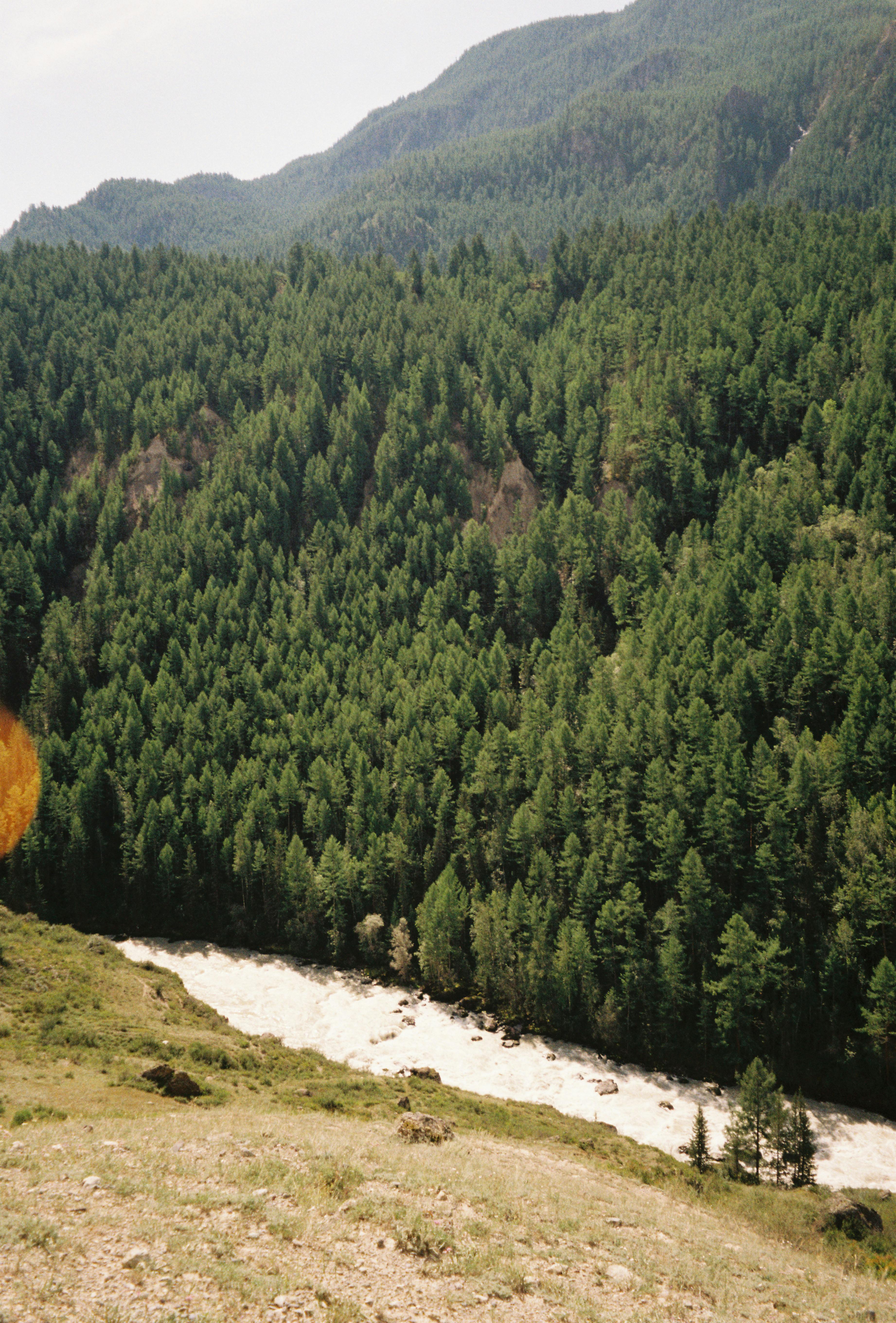 Why Silver Zone Bristol Should Be Your Next Adventure: 8 Insider Tips for Exploring the Area