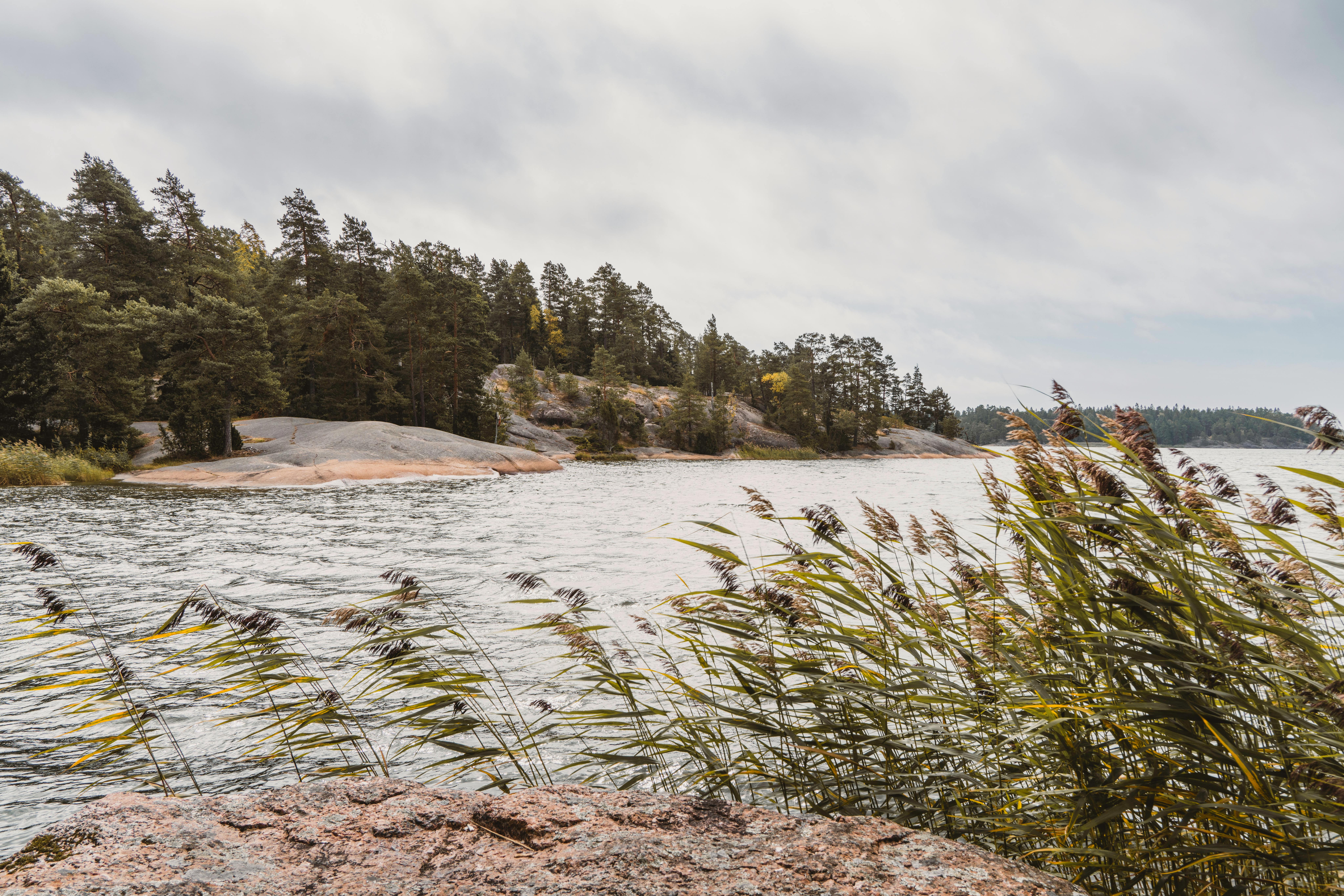 Explore the serene rocky coastline lined with lush trees and gentle waters.