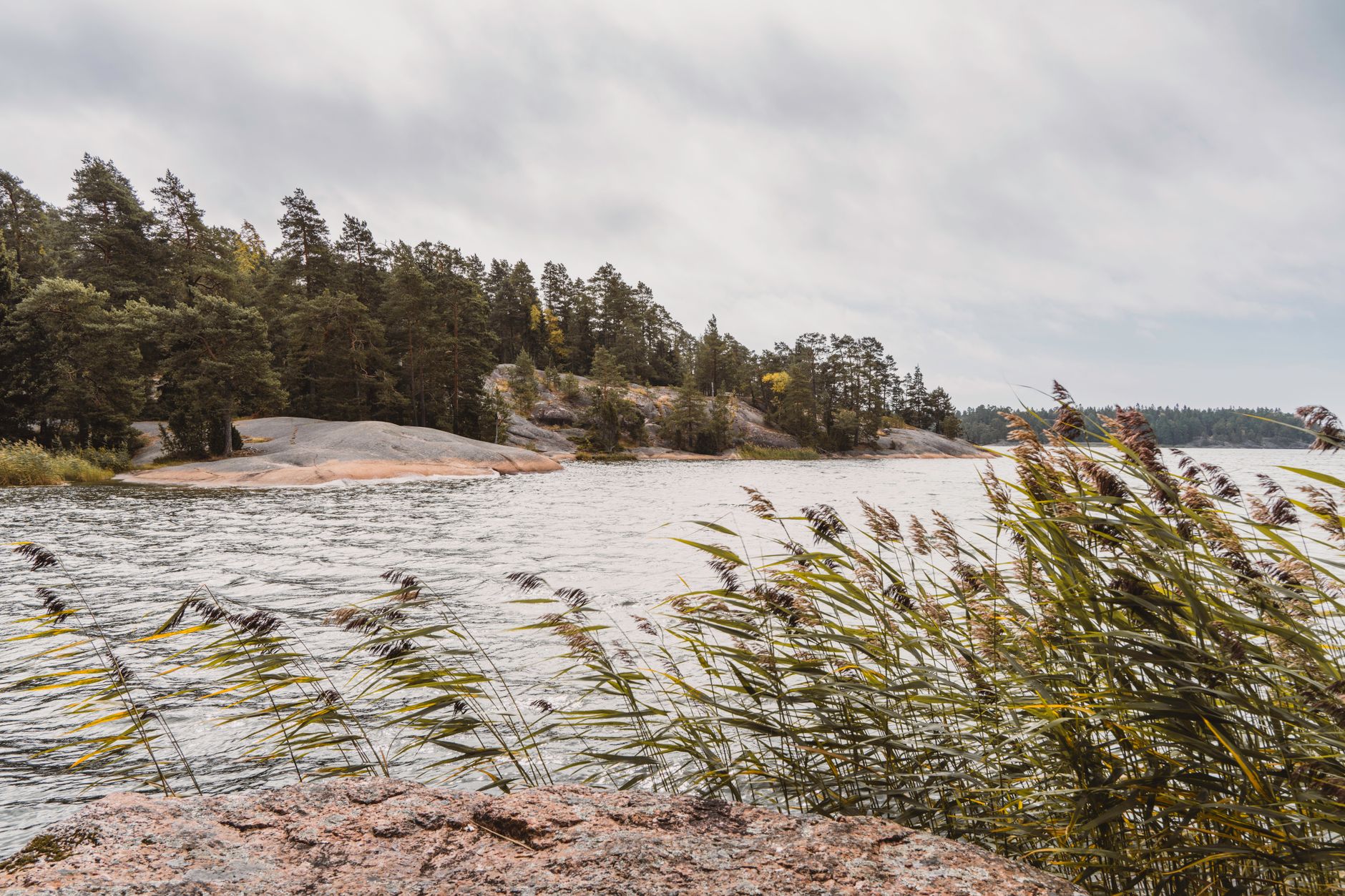 Explore the serene rocky coastline lined with lush trees and gentle waters.
