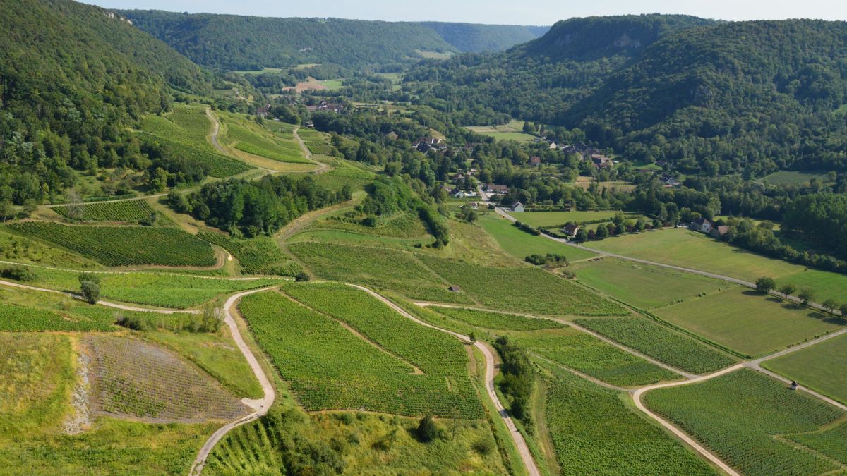 Aerial of small Jura vineyard parcels among trees and a village