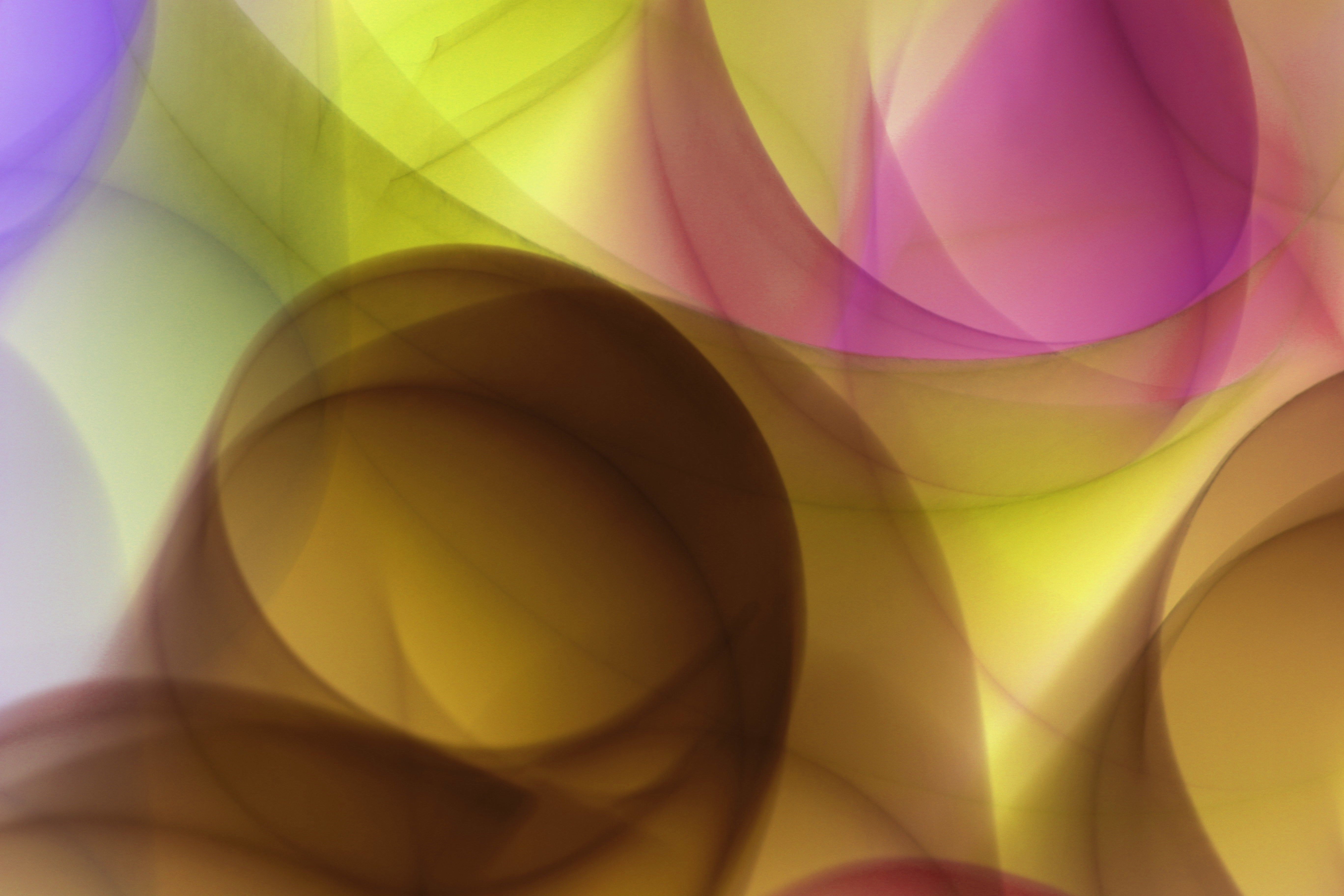 A vibrant abstract composition with soft curves and dynamic colors creating a surreal atmosphere.