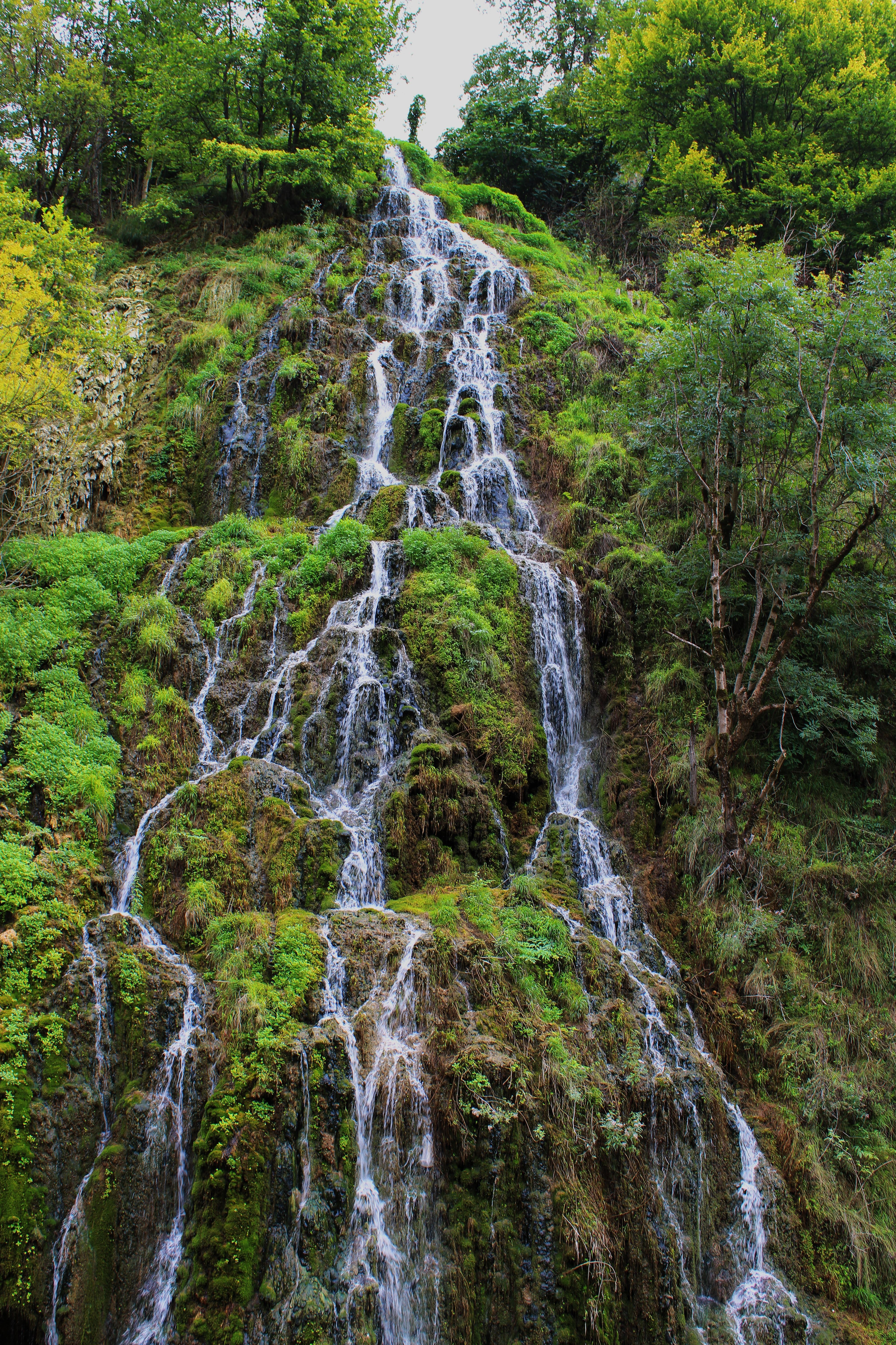 A waterfall is shown in the middle of a lush green forest · Free Stock ...