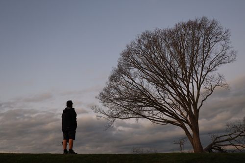 Free Man standing next to tree Stock Photo
