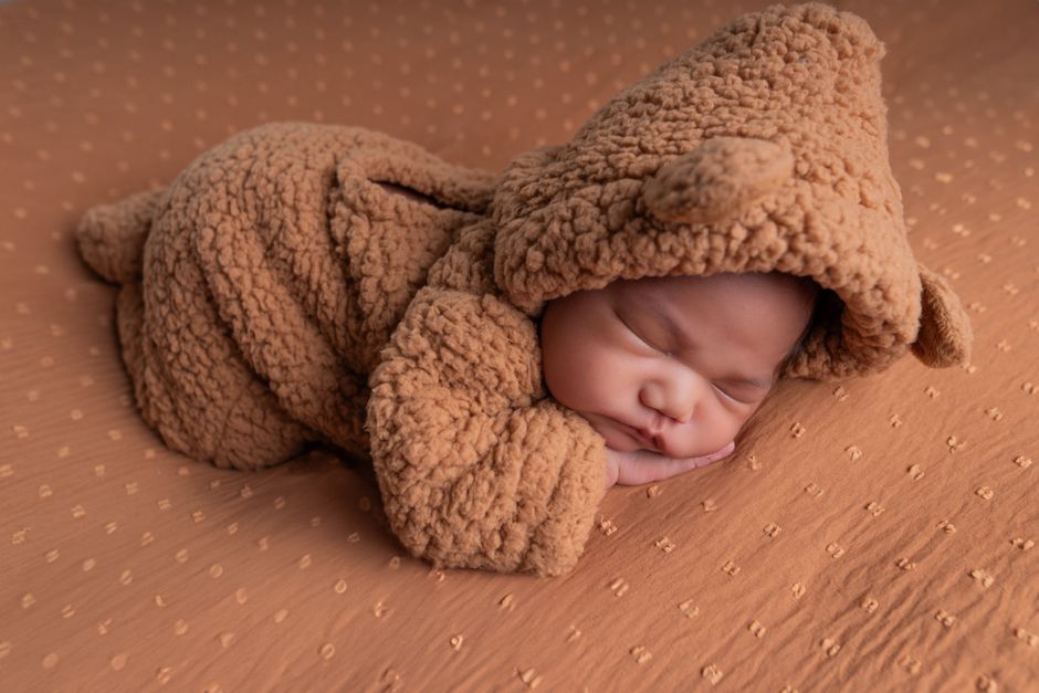 Little Bear Dreamer