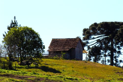 Free Charming rustic barn atop a hill in São Bento do Sul, surrounded by trees and lush greenery. Stock Photo