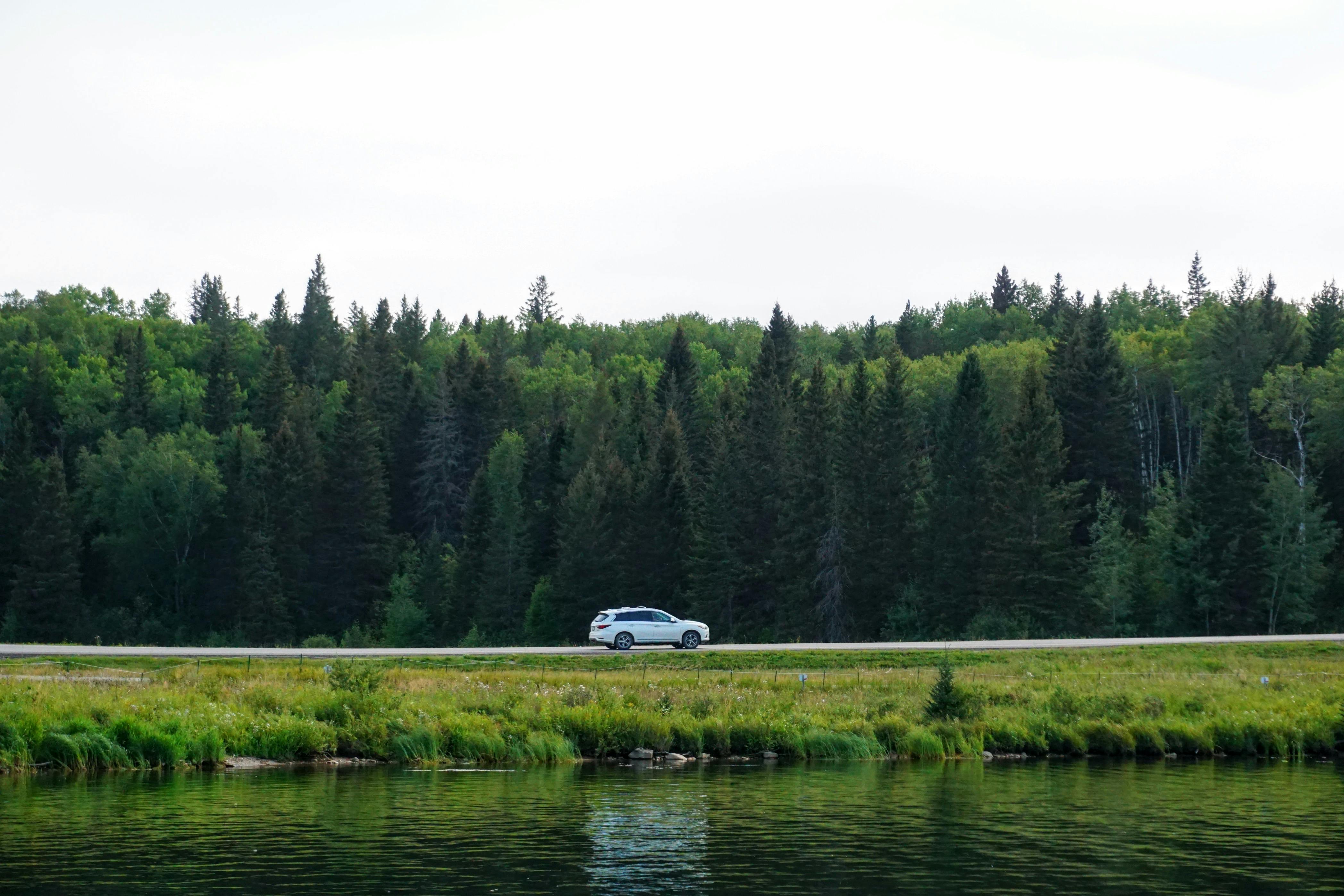Toyota recalls 550,000 Highlander SUVs because seat backs may fail to lock — Photo by Trung Tuan Le on Pexels