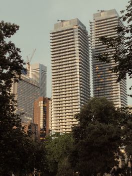A view of towering glass skyscrapers surrounded by lush trees during sunset in downtown Toronto.