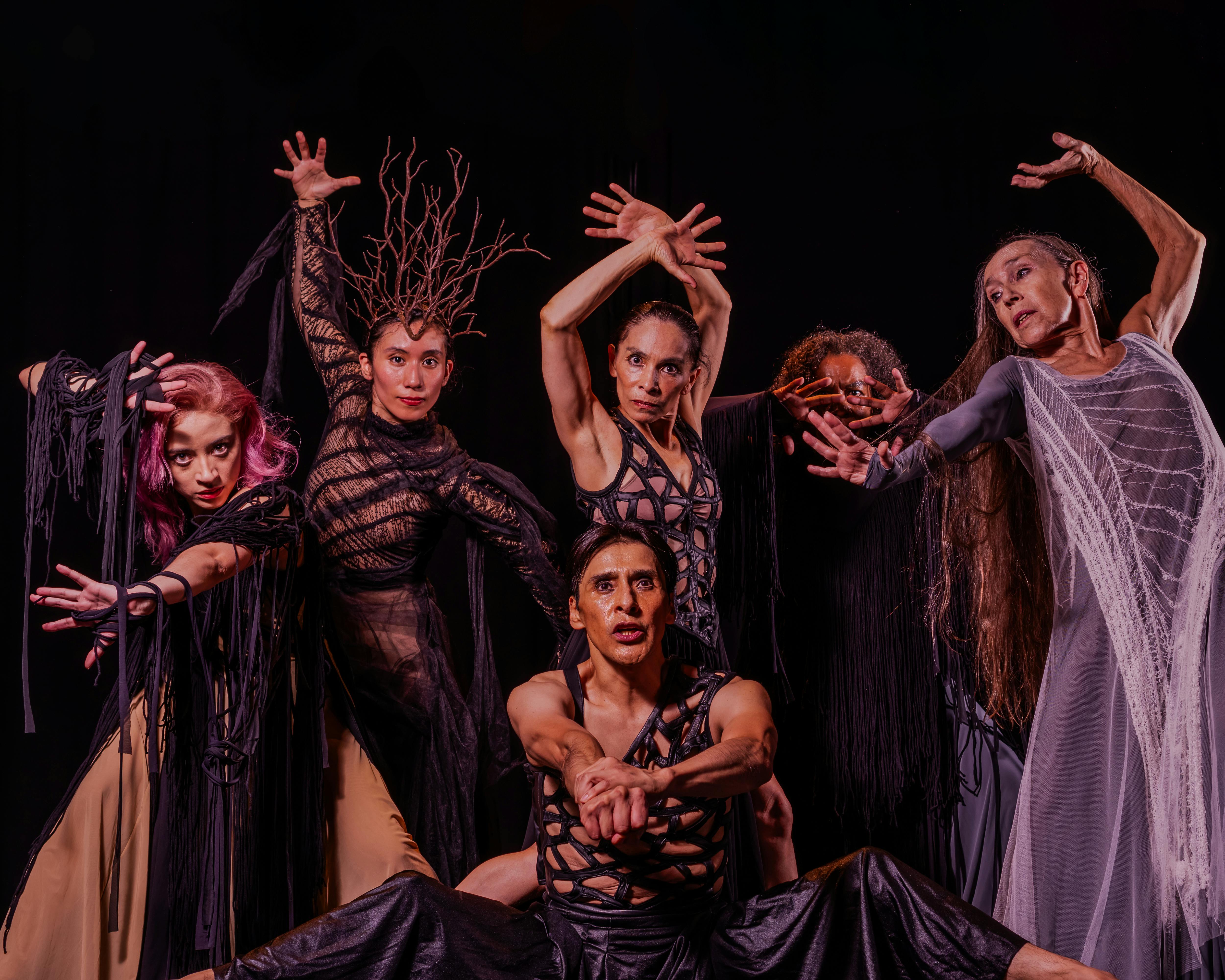 Gratis lagerfoto af bailar, ballet, balletdansere Lagerfoto