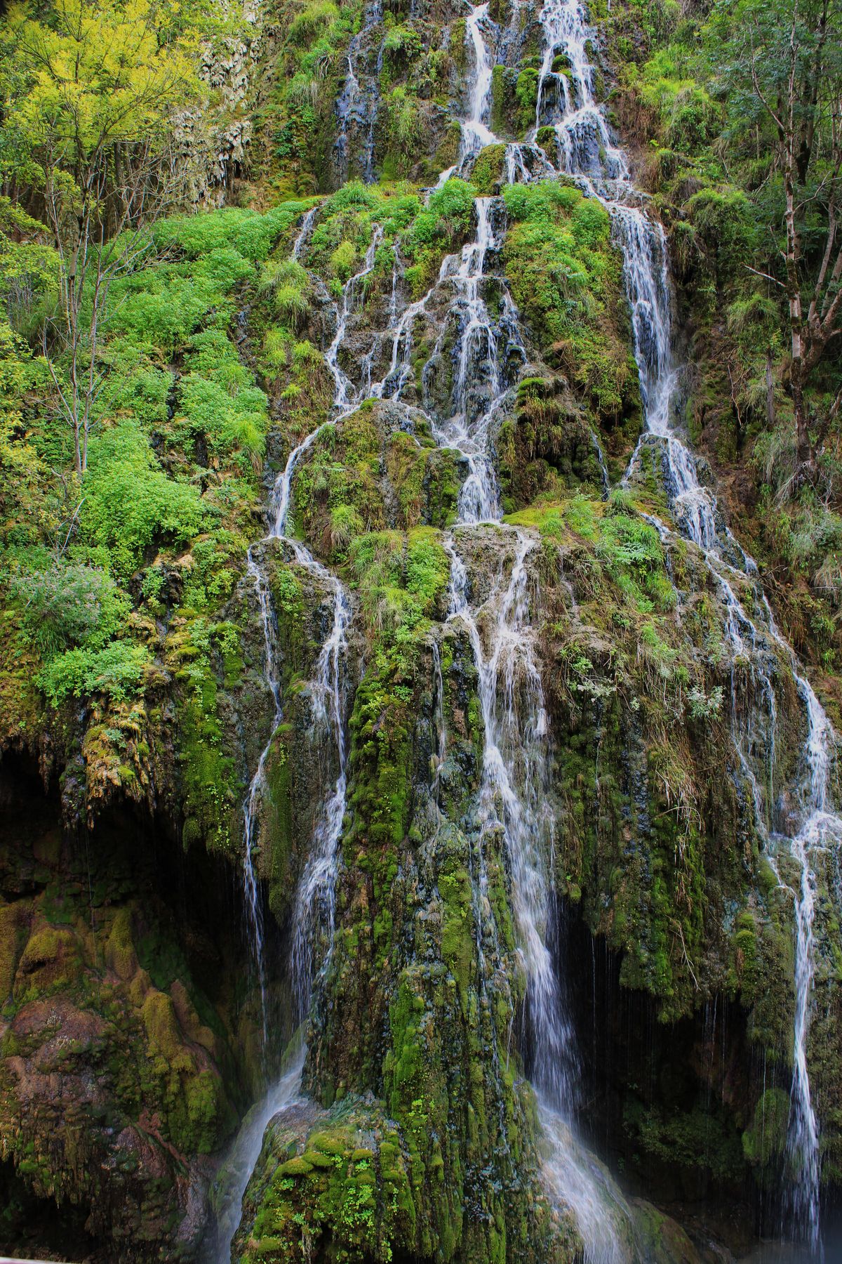 A waterfall is shown in the middle of a forest · Free Stock Photo