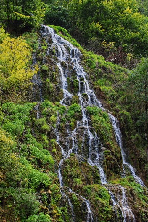 A waterfall is shown in the middle of a forest · Free Stock Photo