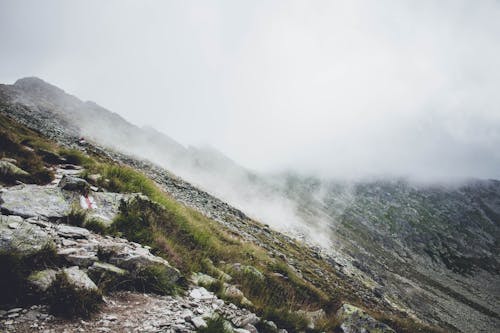 Montagne Couverte De Brouillard