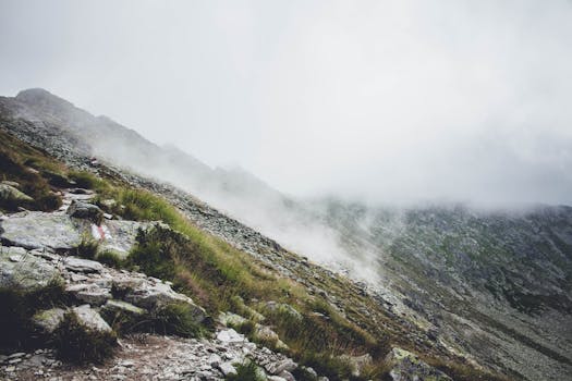 Foggy mountain landscape in Romania, showcasing lush greenery and rugged terrain.