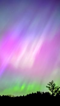 A vibrant display of the Northern Lights illuminating the night sky above a serene forest silhouette.