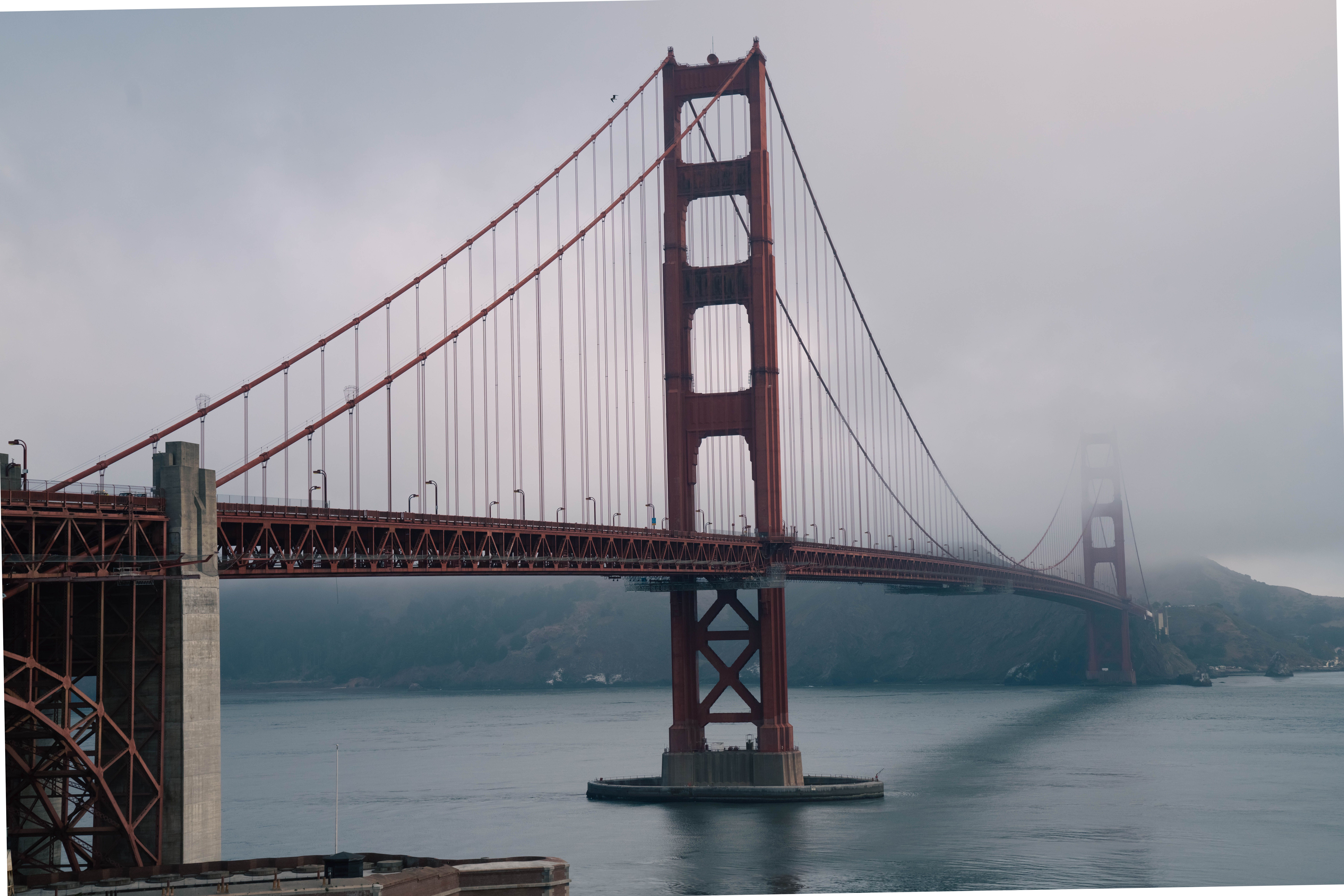 The Best Immigration Attorneys in the Bay Area | Local Recommendations for Best Immigration &amp; Asylum Lawyers — Photo by d