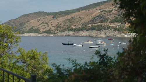 Free A serene coastal view in Vlorë County, Albania, with boats dotting the tranquil bay under a clear sky. Stock Photo